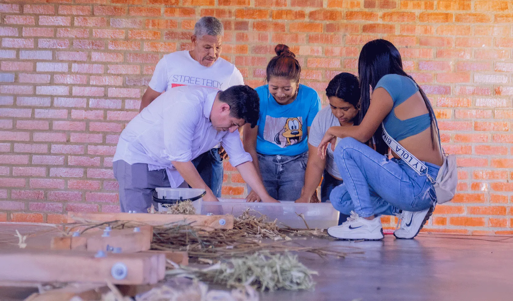 Colaboración Comunitaria